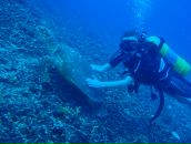 Фотография Богдан Алины