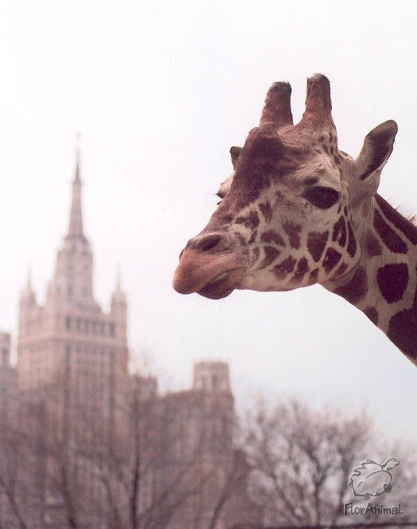 Ярослав Up фотография #19