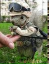 Віталік Приймак фотография #16 (источник - https://vk.com/id141239548)