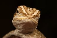 Фотография Хохрякова Николая