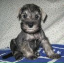 Фотография Пеньковой Яны