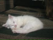 Костя Бакулін фотография #12 (источник - https://vk.com/id119816396)