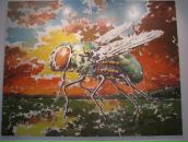 Фотография Ясмарсы Юры