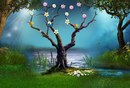 Діана Бакун фотография #42 (источник - https://vk.com/id162110494)