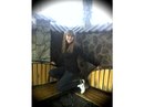 Іваська Стехнович фотография #23 (источник - https://vk.com/id98404517)