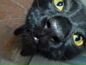 Фотография Неклюдовой Виктории