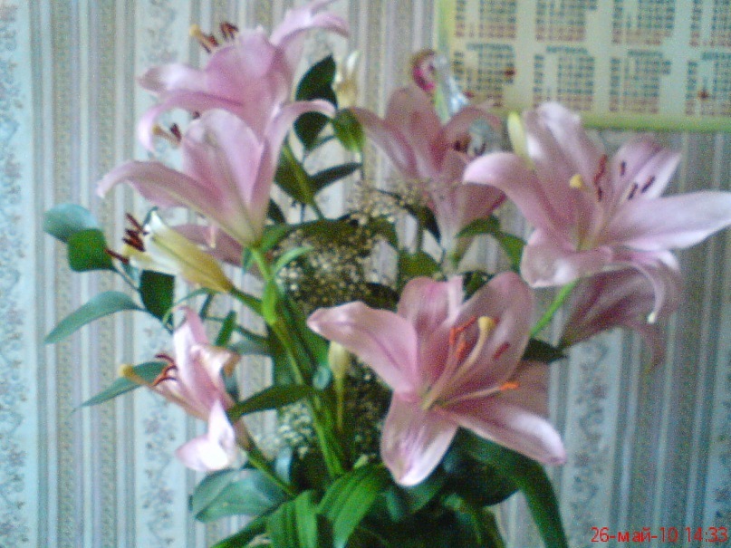 Оля Постникова фотография #30