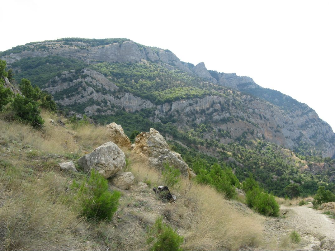 Cucumber Jam фотография #17