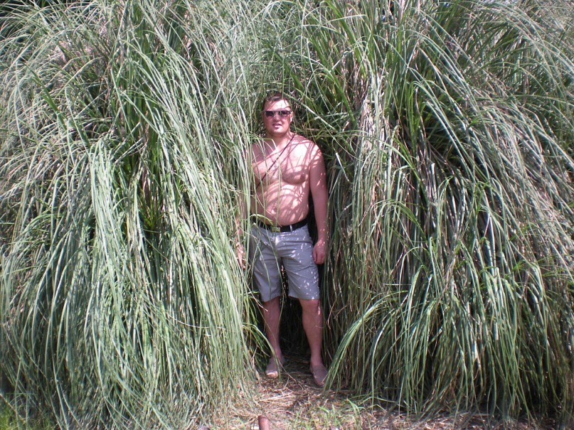 Дмитрий Ратников фотография #42