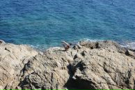 Фотография Лютой Анны