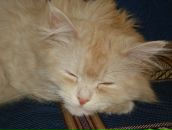 Фотография Щукиной Елены