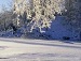 Денис Віктюк фотография #25 (источник - https://vk.com/id154538924)