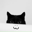 Сергей Королёв фотография #9 (источник - https://vk.com/id999730)