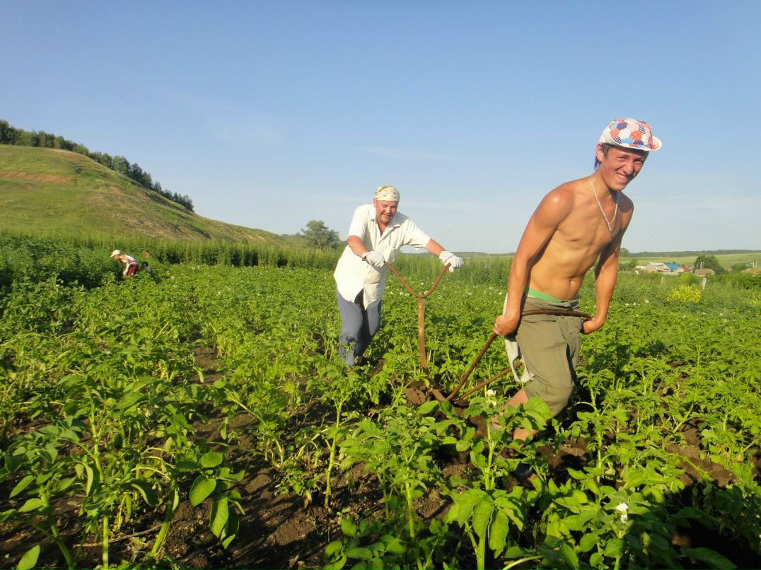 Олег Сивков фотография #2