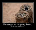 Фотография Жебруна Павла