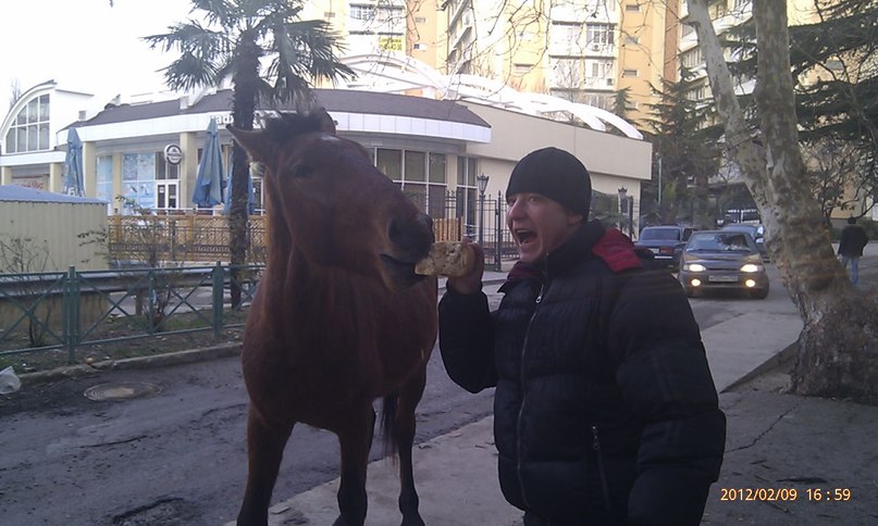 Дмитрий Онищенко фотография #39