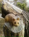 Фотография Мавланов Тимур