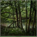 M. C. фотография #17 (источник - https://vk.com/id3058205)