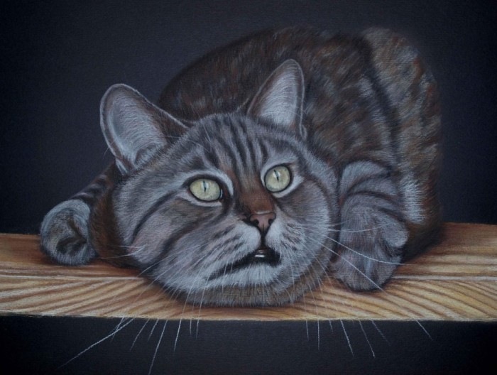 Олег Мельников фотография #46