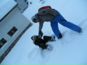 Андрій Botanik фотография #36 (источник - https://vk.com/id40286128)