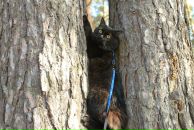 Фотография Иванцовой Анютки