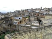 Дмитрий Фёдоров фотография #19 (источник - https://vk.com/id28347)