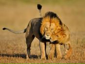 Фотография Пруглова Алексея