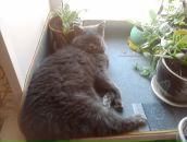 Фотография Волковой Оли