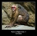 Роман Багрій фотография #20 (источник - https://vk.com/id116366204)