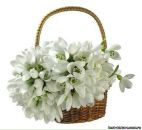 Ольга Пасічна фотография #48 (источник - https://vk.com/id50870180)