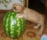 Фотография Терентьевой Ирины