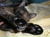 Фотография Мирохиной Марины