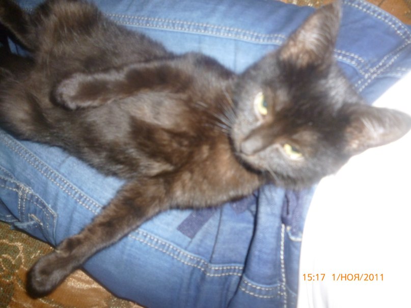 Илья Мальков фотография #28