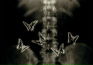 Фотография Ульяновой Елены