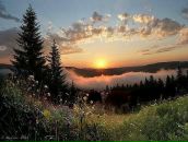 Mr. White фотография #18 (источник - https://vk.com/id15201622)