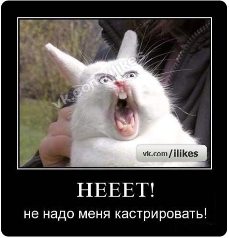 №16, Марина Ракина №16, Марина Ракина