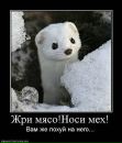 Віталік Мельник фотография #17 (источник - https://vk.com/id98623433)