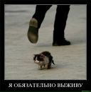 Іра Шрамук фотография #33 (источник - https://vk.com/id158258071)