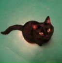 Фотография Бусоргиной Маргариты