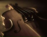 Фотография Даценко Владимира