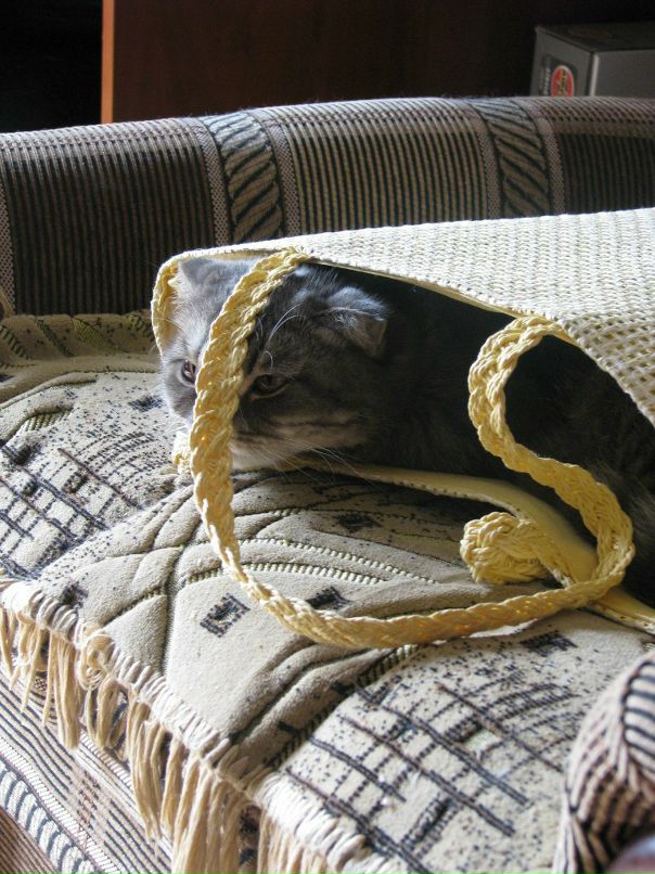 Сергей Липченко фотография #12