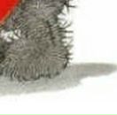 Анастасія Гудзак фотография #35 (источник - https://vk.com/id98965948)