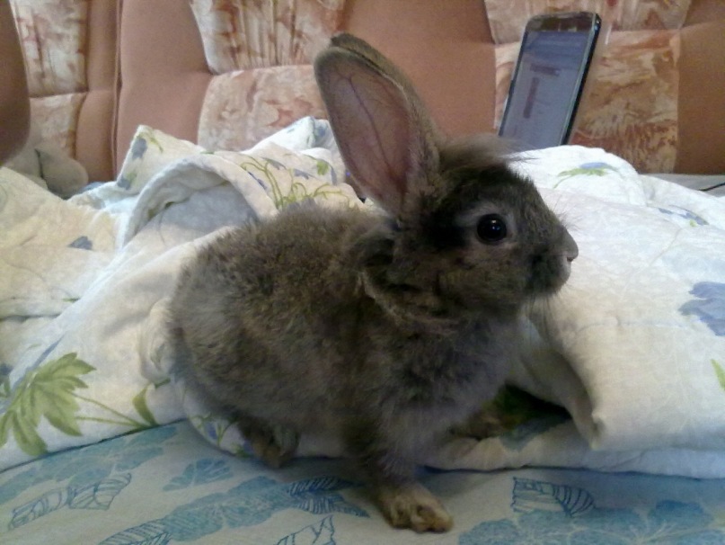 Илья Ткаченко фотография #21