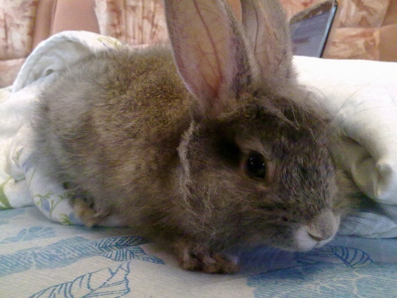 Илья Ткаченко фотография #22