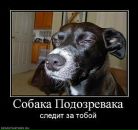 Вика Ткаченко-Малинкина фотография #28 (источник - https://vk.com/id4354431)