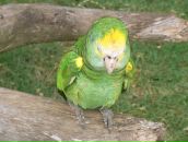 Фотография Гречушниковой Елены