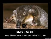 Фотография Костиной Анны