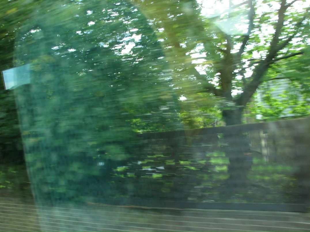 Ромул Рем фотография #26