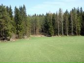 Иван Амельченко фотография #40 (источник - https://vk.com/id684343)