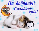Сергій Юхимчук фотография #26 (источник - https://vk.com/id161496578)